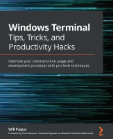 Windows_Terminal.pdf